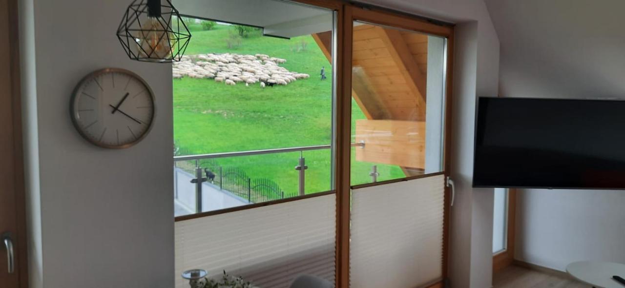 Apartamenty Bachledzki Wierch ザコパネ エクステリア 写真