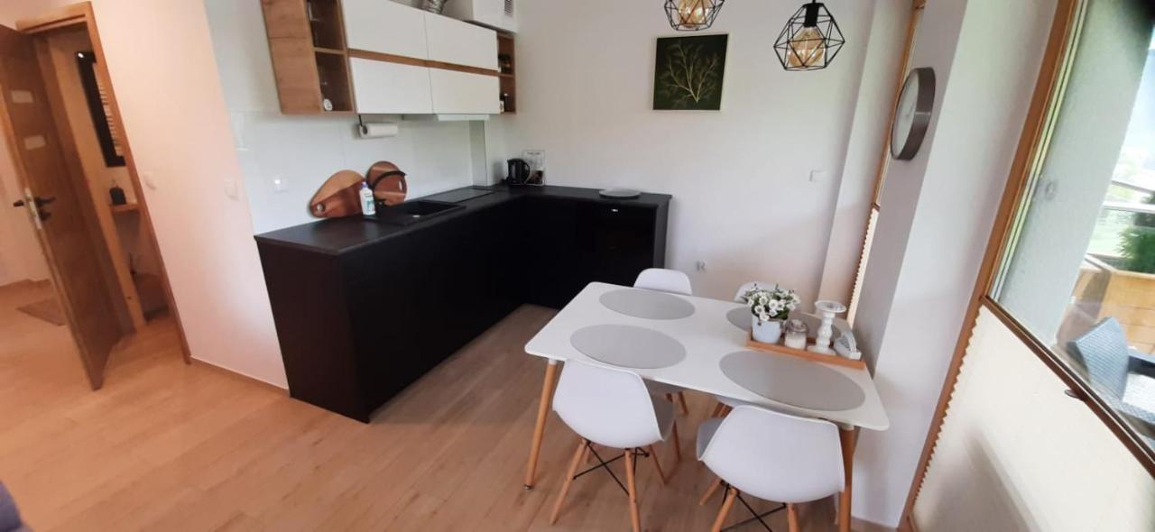 Apartamenty Bachledzki Wierch ザコパネ エクステリア 写真