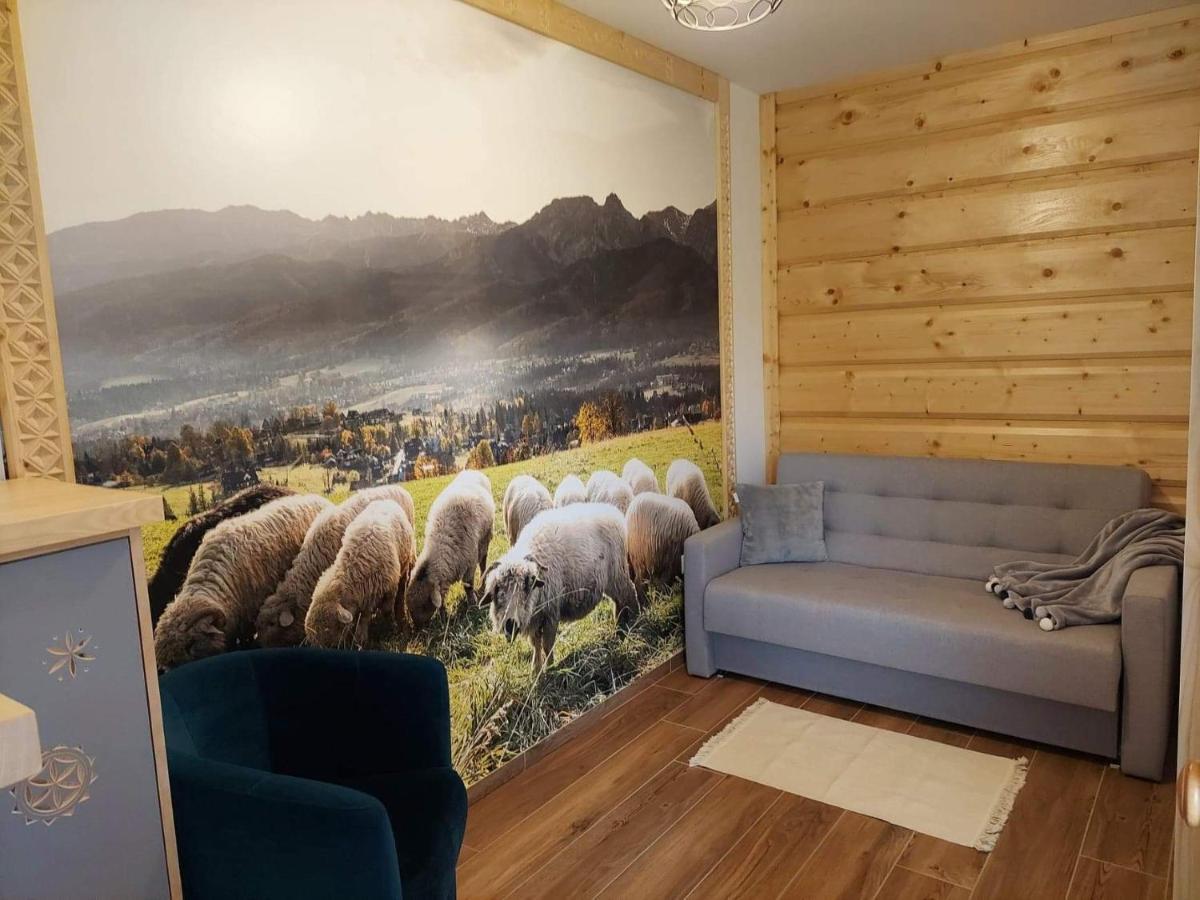Apartamenty Bachledzki Wierch ザコパネ エクステリア 写真